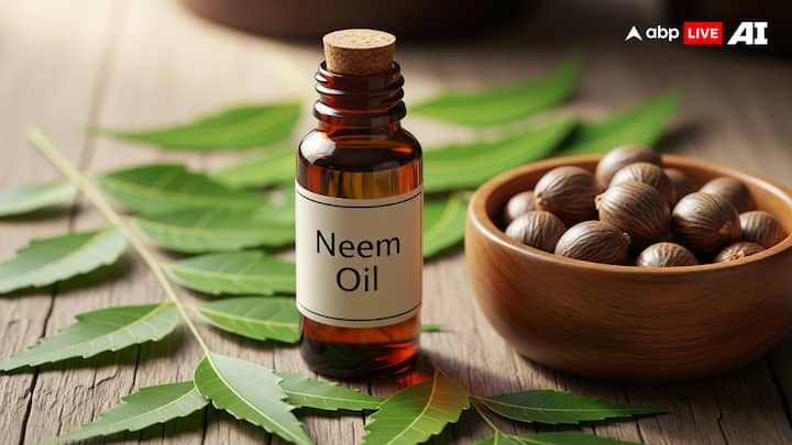 Neem Oil: Neem oil provides moderate protection and is most effective if combined with water, oil, or lotion. Use only cold-pressed neem oil and dilute before applying, since concentrated neem oils may cause skin irritation.(Image Source: ABP LIVE AI)