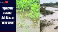 पावसामुळं शेतीचं अर्थकारण कोलमडलं !लातूर जिल्ह्यात शेती पिकांसह सार्वजनिक मालमत्तेचं ही मोठे नुकसान
