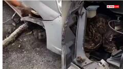 Video: कार के बोनट में सोता मिला 3 मीटर लंबा अजगर, वीडियो देख उड़ गए होश! ऐसे निकाला बाहर