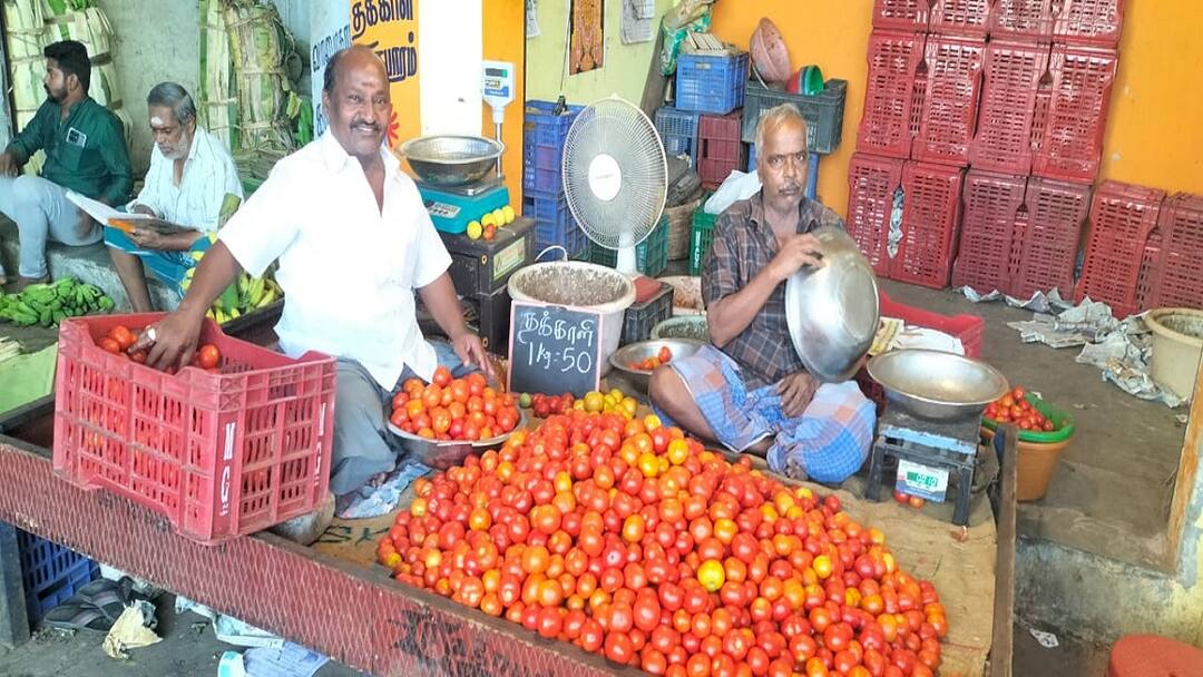 Tomato prices rise in Thanjavur in a single day due to shortage of supply “மீண்டும் நான் கிங்” ஒரே நாளில் ரூ.20 உயர்வு: தக்காளியால் குடும்பத் தலைவிகள் அதிர்ச்சி