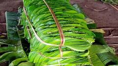 மணக்கும்... மனதை மயக்கும்.... கும்பகோணம் வெற்றிலைக்கு உள்ள மவுசே தனி...!