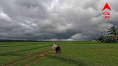 বঙ্গে ফের দুর্যোগের পূর্বাভাস, প্রবল বৃষ্টিতে ভিজবে বাংলার এই জেলাগুলি
