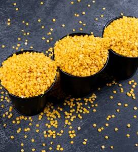 ਪ੍ਰੋਟੀਨ ਨਾਲ ਭਰਪੂਰ ਇਹ ਦਾਲ ਸਿਹਤ ਲਈ ਵਰਦਾਨ, ਭਾਰ ਘਟਾਉਣ ਤੋਂ ਲੈ ਕੇ ਹੱਡੀਆਂ ਨੂੰ ਕਰਦੀ ਮਜ਼ਬੂਤ