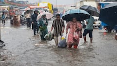 मुंबई में भारी बारिश के बाद लोगों में लेप्टोस्पायरोसिस का खतरा, BMC ने किया अलर्ट