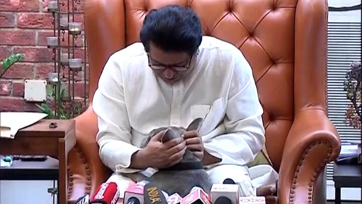 राज ठाकरे त्यांचा कुत्रा रायनोसोबत खेळताना.