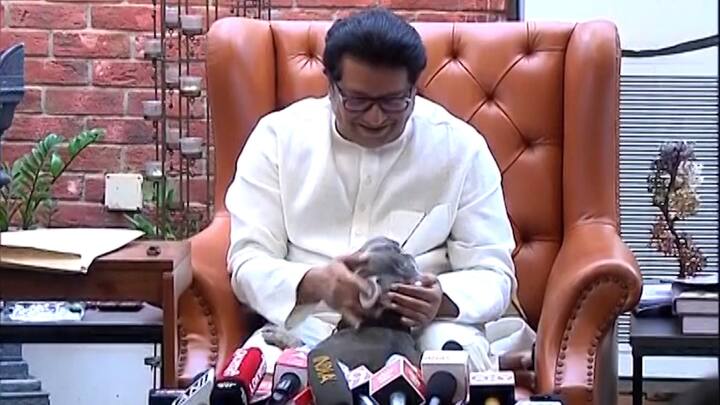 राज ठाकरे पत्रकारांशी बोलत असताना अचानक त्यांच्या पाळीव कुत्रा त्याठिकाणी आला. त्याला पाहून उपस्थितांच्या नजरा त्याच्याकडे वळल्या.