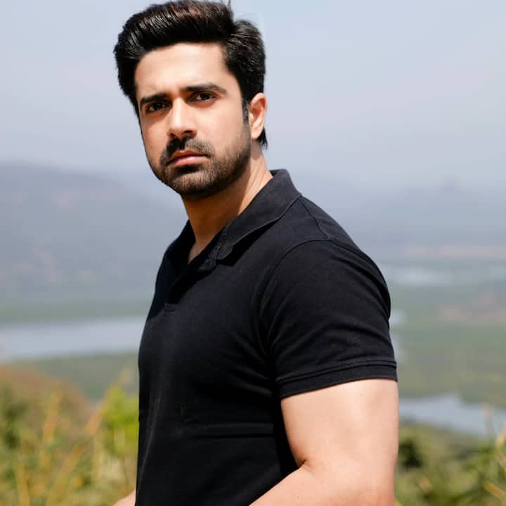 अविनाश सचदेव ने शादी से पहले और शादी के बाद कई लड़कियों को डेट किया. लेकिन आज भी वो सिंगल हैं.