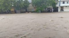 Gujarat Rain: રાજ્યમાં સરેરાશ 75 ટકાથી વધુ વરસાદ નોંધાયો, 70 ડેમ હાઈએલર્ટ પર