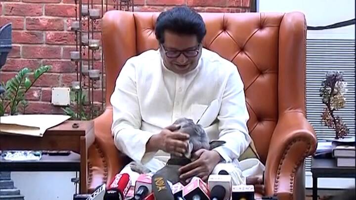 आपल्या लाडक्या कुत्र्याला पाहून राज ठाकरे यांच्या चेहऱ्यावर हसू फुलले. त्यांनी हाक मारुन त्याला जवळ बोलावले.