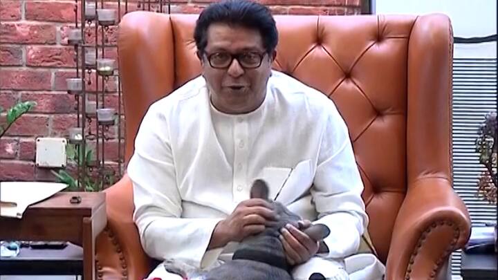 राज ठाकरे यांनी काहीवेळ कुत्र्याचे लाड केले. त्यानंतर तो निघून गेला.