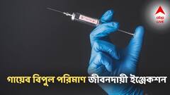 কলকাতায় আসার পথে 'চুরি' ইনসুলিন, হার্ট অ্যাটাক চিকিৎসায় ব্যবহৃত ইঞ্জেকশন! সতর্কতা জারি কেন্দ্রীয় ড্রাগ কন্ট্রোলের