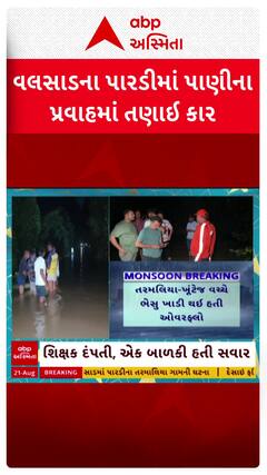 Valsad Car flooded : પારડીમાં વરસાદી પાણીમાં કાર તણાઇ