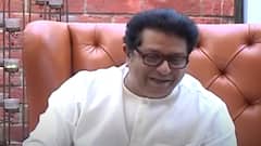 Raj Thackeray Dog in Press conference: पत्रकार परिषद सुरु असताना राज ठाकरेंनी अचानक हाक मारली, ए पिल्लू....इकडे ये!