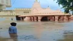 Gujarat Rain: રાજ્યમાં છેલ્લા 24 કલાકમાં 226 તાલુકામાં વરસાદ, મેંદરડામાં સૌથી વધુ 13.31 ઈંચ