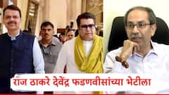 बेस्ट पतपेढी निवडणुकीत दारुण पराभव होताच राज ठाकरे फडणवीसांच्या भेटीला, राजकीय वर्तुळात चर्चांना उधाण