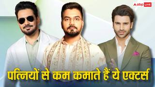 अपनी पत्नियों से बेहद कम कमाते हैं ये टीवी एक्टर्स, नेटवर्थ भी है कम, लिस्ट में बड़े दिग्गजों का नाम है