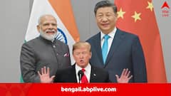 পাশে থাকার বার্তা, আমেরিকাকে ‘গুন্ডা’ বলে কটাক্ষ, ভারতের জন্য বাজার খুলে দিল চিন