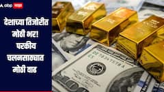 देशाच्या तिजोरीत मोठी भर, परकीय चलनसाठ्यात 1.48 अब्ज डॉलर्सची वाढ, RBI ने जाहीर केली आकडेवारी