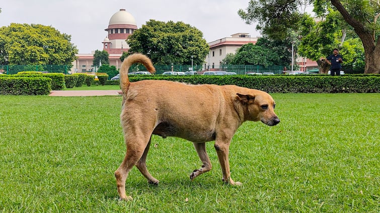 <div>SC Questions Centre's 'False Alarm' Over Governors' Assent: 'What About Bills Pending For 4 Years?'</div>