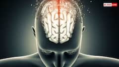 માત્ર શરીર જ નહીં આપણા મગજને પણ ઘરડું બનાવી ગયું છે કોરોના વાયરસ, સ્ટીડમાં ચોંકાવનારો ખુલાસો