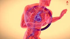 High Cholesterol Warning : সাবধান, ৯৯ শতাংশ মানুষই এড়িয়ে যান, শরীরের এই অংশগুলোতে ব্যথা হলে বুঝবেন কোলেস্টেরল বেড়েছে !