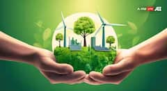 सेंद्रिय शेतीपासून सौरऊर्जेपर्यंत: पर्यावरण संरक्षणात पतंजलीचे मोठं योगदान; वाचा सविस्तर