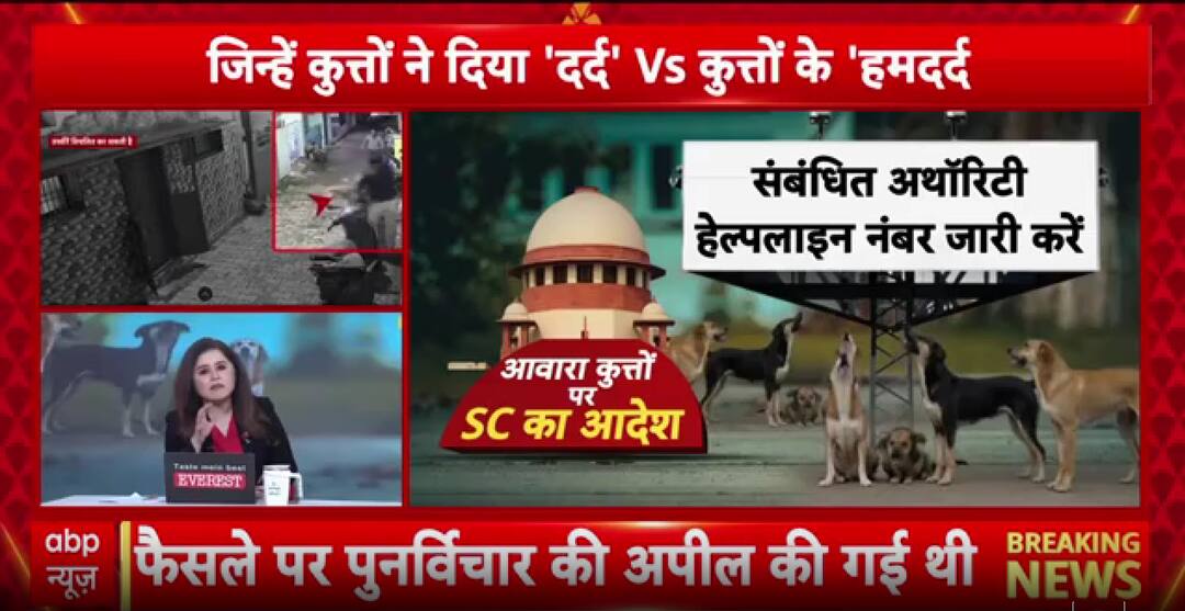 Breaking: Public Safety Versus Animal Rights Clash Ahead Of Supreme Court Stray Dog Verdict