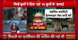 Breaking: Public Safety Versus Animal Rights Clash Ahead Of Supreme Court Stray Dog Verdict