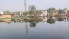 ग्रेटर नोएडा में तालाबों की बदली सूरत, प्राधिकरण और पॉन्ड मैन की पहल से गांवों में लौटी रौनक