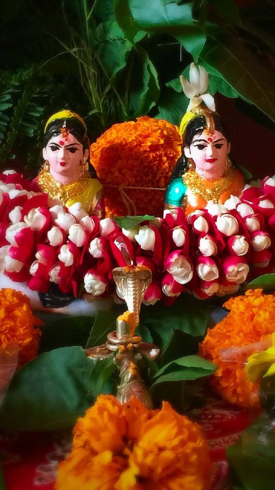 हरतालिका व्रत कोणी करावं ?