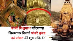 काशी विश्वनाथ मंदिराच्या शिखरावर दिसले पांढरे घुबड! नवं संकट की शुभ संकेत? यामागे 'हा' मोठा अर्थ, ज्योतिषी सांगतात...