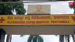 प्रयागराज में डेंगू और मलेरिया को लेकर तैयारियां शुरु, बारिश के बाद बढ़ रहे हैं मामले