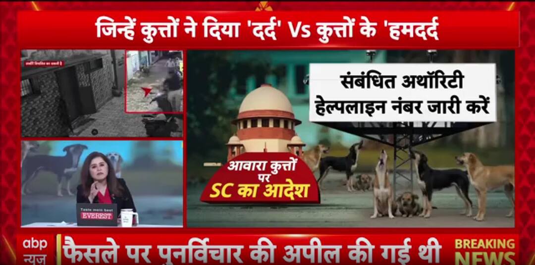 Breaking: Stray Dog Debate Intensifies As Supreme Court Prepares Landmark Verdict