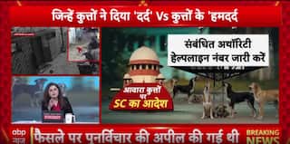 Breaking: Stray Dog Debate Intensifies As Supreme Court Prepares Landmark Verdict