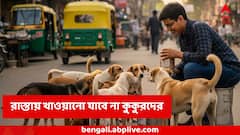 আর রাস্তাঘাটে খাওয়ানো যাবে না কুকুরদের ! নিয়ম না মানলে বড় পদক্ষেপ, নির্দেশ সুপ্রিম কোর্টের