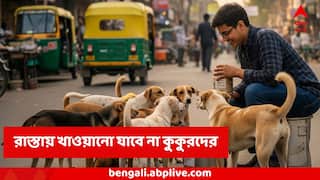 Stray Dogs Order  : আর রাস্তাঘাটে খাওয়ানো যাবে না কুকুরদের ! নিয়ম না মানলে বড় পদক্ষেপ, নির্দেশ সুপ্রিম কোর্টের