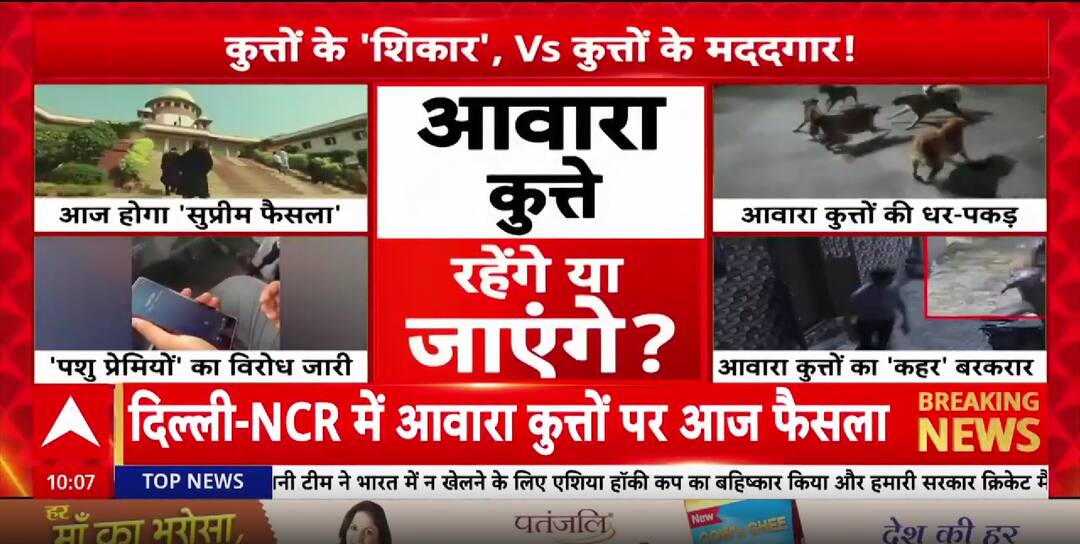 Breaking: Supreme Court To Deliver Key Verdict On Stray Dogs In Delhi-NCR Today