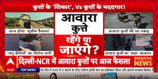 Breaking: Supreme Court To Deliver Key Verdict On Stray Dogs In Delhi-NCR Today