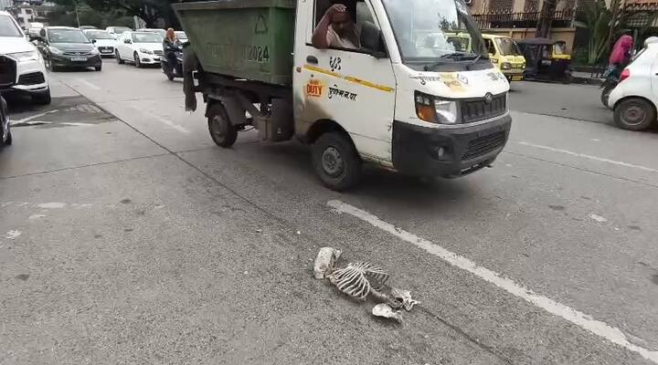 सदर सगळा प्रकार गुरुवारी (21 ऑगस्ट) संध्याकाळी पुण्यातील येरवडा भागातील शास्त्रीनगर चौकात घडली.