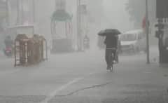 Gujarat Rain: ગુજરાતમાં સાર્વત્રિક વરસાદ, 24 કલાકમાં 212 તાલુકામાં મેઘમહેર, સિઝનનો સરેરાશ વરસાદ 77 ટકા