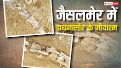 जैसलमेर में मिले उड़ने वाले डायनासोर के जीवाश्म, जियोलॉजिकल सर्वे की टीम करेगी जांच