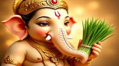 गणेशोत्सवची तयारी झाली का? दुर्वा आणायला विसरू नका; जाणून घ्या महत्त्व!