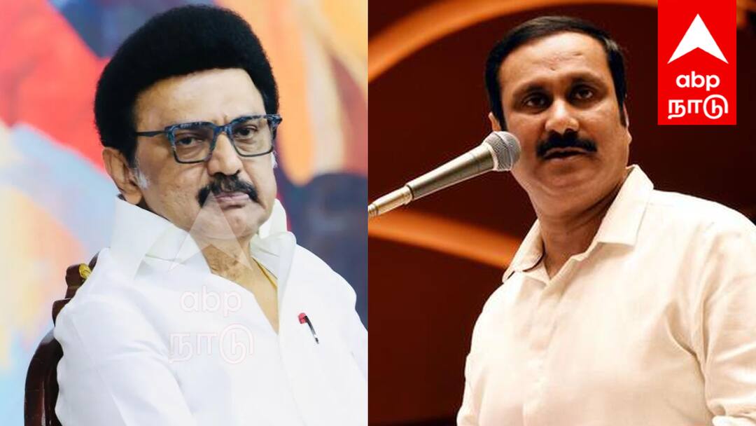 முதல்வர் ஸ்டாலினின் நகைச்சுவை உணர்வுக்கு அளவே இல்லையா? - அன்புமணி ராமதாஸ் Tamil Nadu number one in the war on drugs Anbumani Ramadoss questions Stalin's sense of humor tnn முதல்வர் ஸ்டாலினின் நகைச்சுவை உணர்வுக்கு அளவே இல்லையா? - அன்புமணி ராமதாஸ்