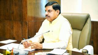 Not 'Makhanchor': MP Govt To Push Campaign To Drop Tag For Lord Krishna