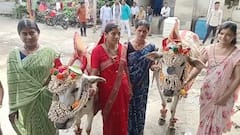 कुठे काळा पोळा, कुठे कर्जमाफीचा मुद्दा; बैलपोळ्याला सर्जा-राजावर झळकला 'चलो मुंबई'चा नारा