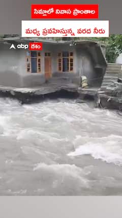 Flood water flowing between residential areas in Shimla