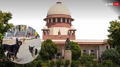 'ਸ਼ੈਲਟਰ ਹੋਮ ਨਹੀਂ, ਨਸਬੰਦੀ ਹੀ ਸਹੀ ਹੱਲ...', ਆਵਾਰਾ ਕੁੱਤਿਆਂ 'ਤੇ ਸੁਪਰੀਮ ਕੋਰਟ ਦਾ ਵੱਡਾ ਫੈਸਲਾ