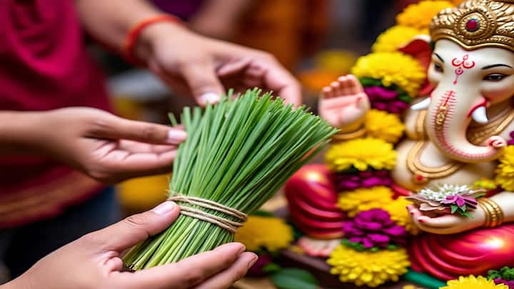 गणपतीच्या पूजेत विषम संख्येत विशेषतः 21 दुर्वांचे त्रिकूट वाहणे शुभ मानले जाते. गणपतीच्या पूजेत विषम संख्येत विशेषतः 21 दुर्वांचे त्रिकूट वाहणे शुभ मानले जाते.