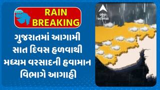 Gujarat Rains Forecast: ગુજરાતમાં આગામી સાત દિવસ હળવાથી મધ્યમ વરસાદની હવામાન વિભાગની આગાહી