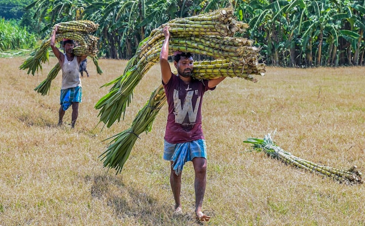 সোমবার ভারী বৃষ্টি হবে দক্ষিণ ২৪ পরগনা, পূর্ব ও পশ্চিম মেদিনীপুরে। বাকি জেলাতে বজ্রবিদ্যুৎসহ বৃষ্টি।